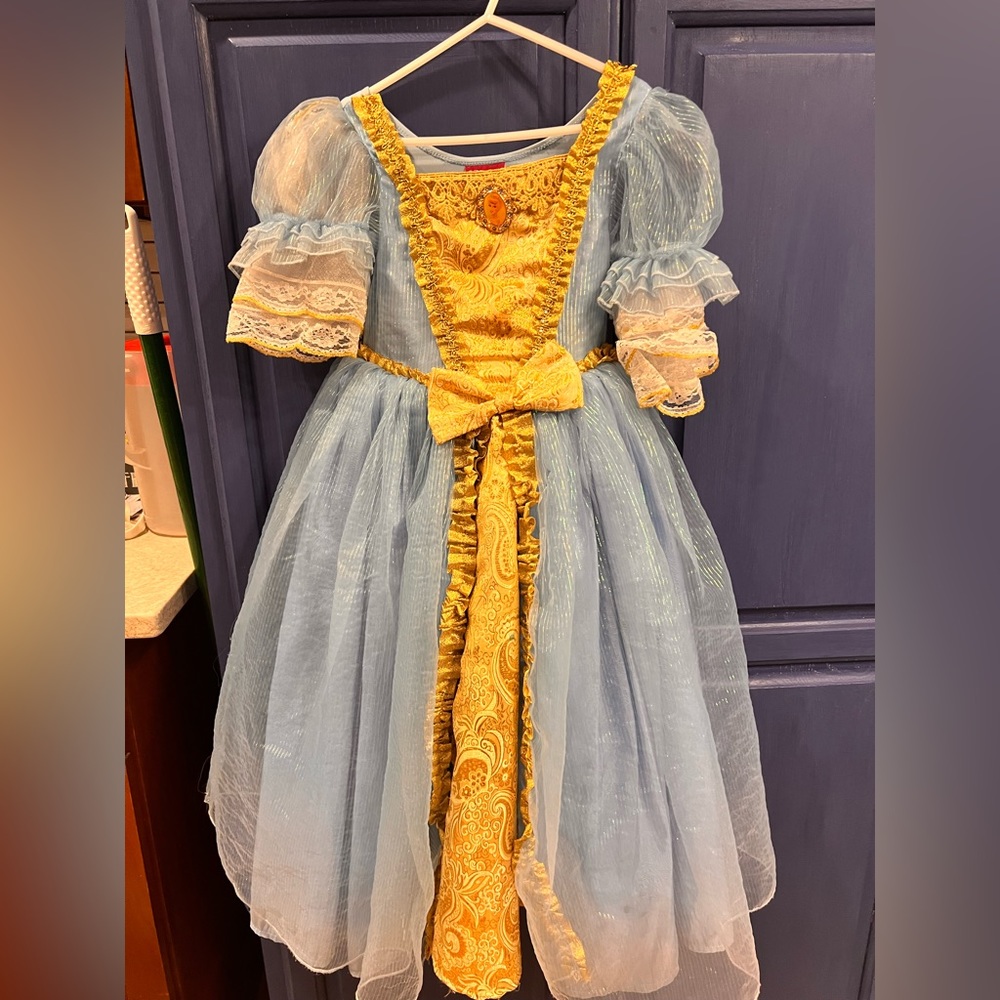 Cinderella dress/costume  size XS
